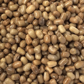 Moth bean, Turkish gram, dew bean