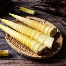 Bamboo-Shoots