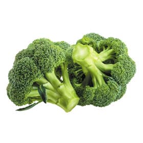 Broccoli