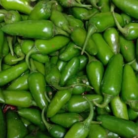 Bullet-Chilli