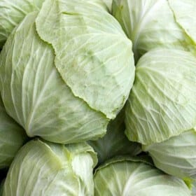 Cabbage
