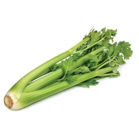 Celery