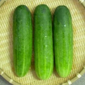 Cucumber
