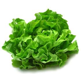 Lettuce