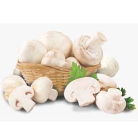 Mushroom-Button
