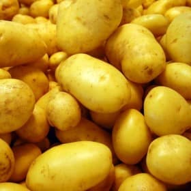 Potato