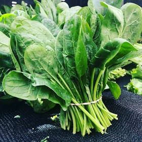 Spinach