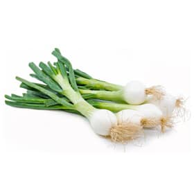 Spring-Onion