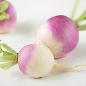 Turnip
