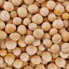 Dried white peas