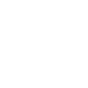 Expert-Professional