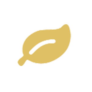 Icon3