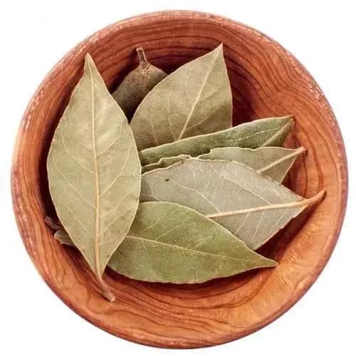 Bay-Leaf